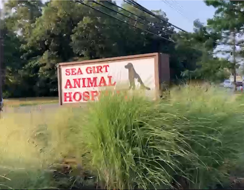 Sea-Girt Animal Hospital Sign